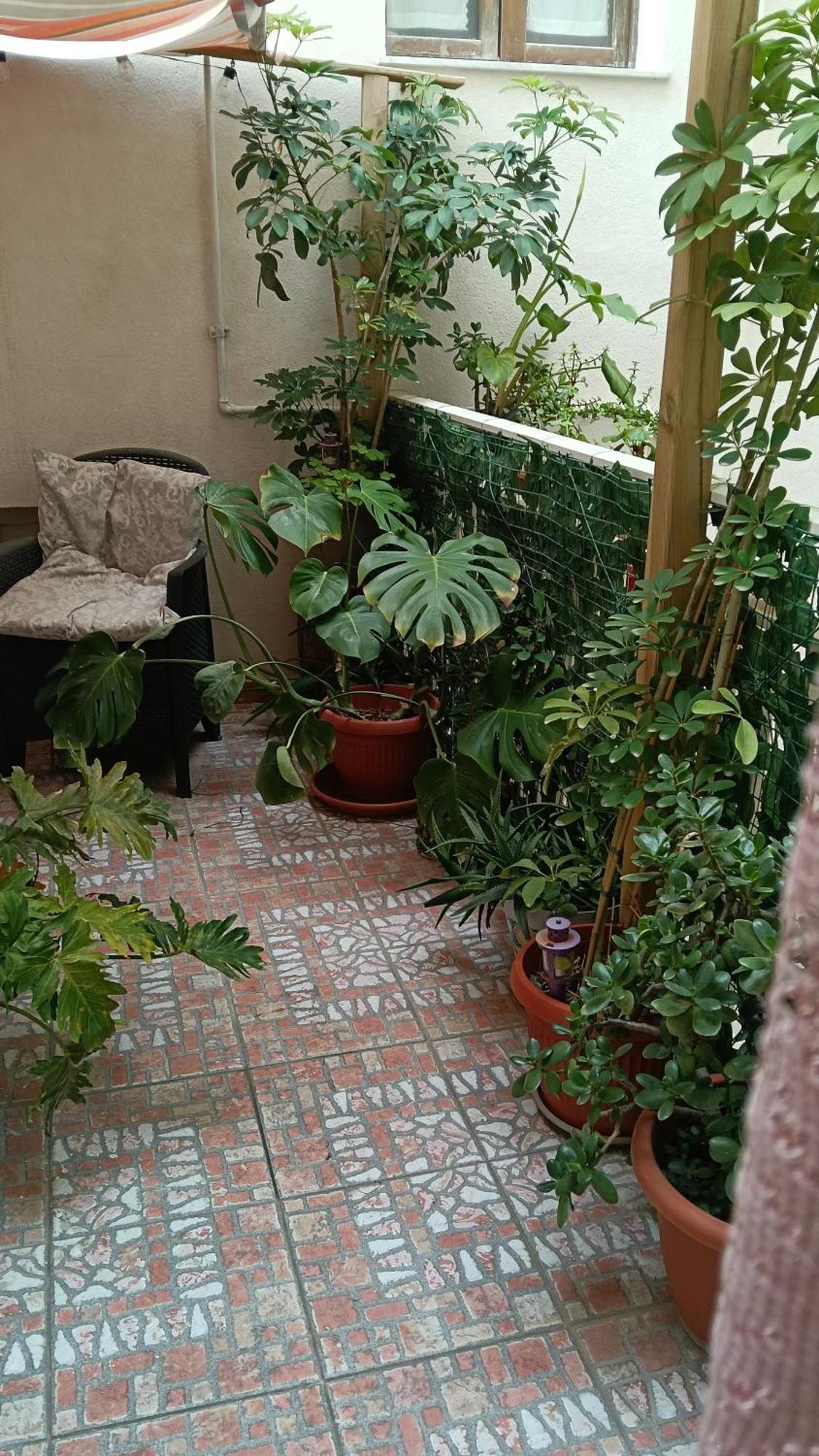 Very Smail House 아우구스타 외부 사진